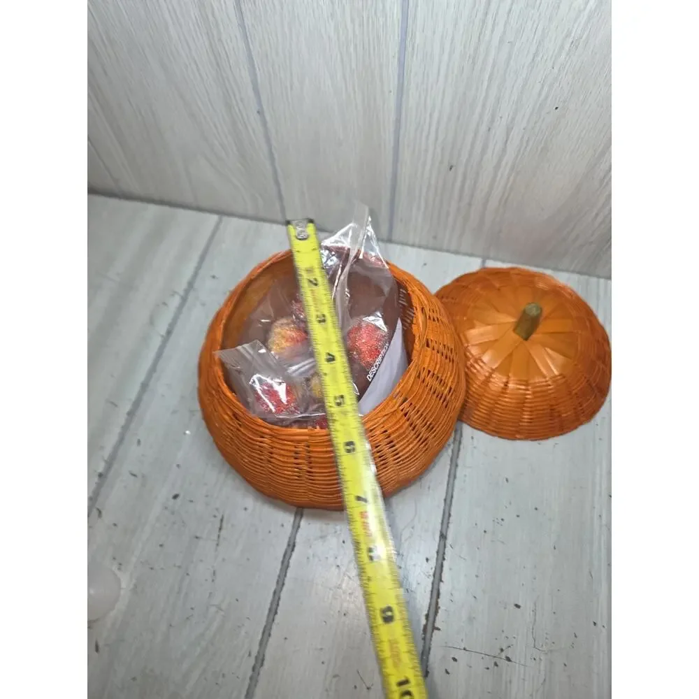 Vtg Orange Pumkin 5